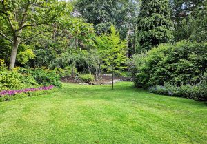 Optimiser l'expérience du jardin à Villeneuve-du-Pareage